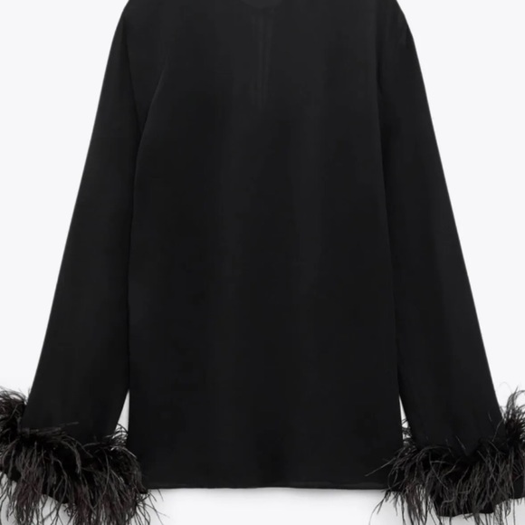 ZARA NEW COLLECTION BLOUSE WITH FEATHER 9075/530 (size XS) - Picture 5 of 8
